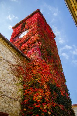 Kırmızı Saat Kulesi, Frontino