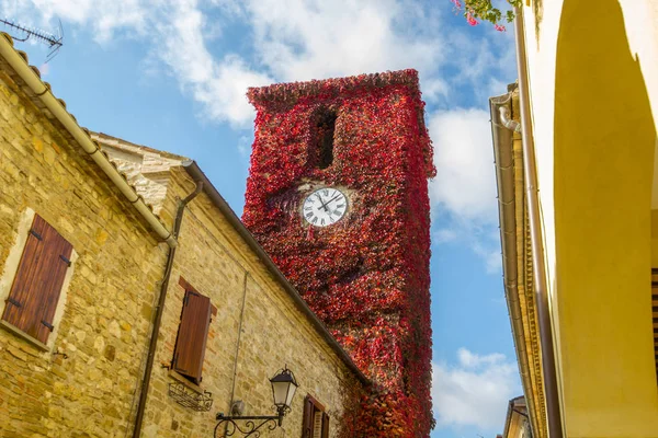 赤い時計塔 メガネグマ — ストック写真
