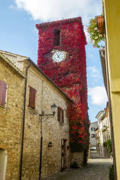 Bir Orvieto Katedral Duomo Umbria Talya — Stok fotoğraf