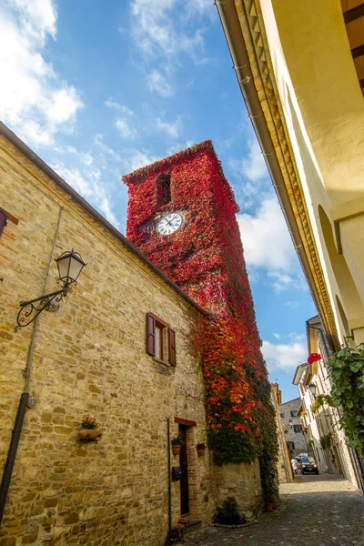 赤い時計塔 メガネグマ — ストック写真