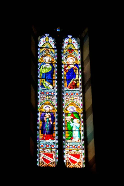 Janela Vidro Manchado Dentro Catedral Santa Maria Assunta Siena Itália — Fotografia de Stock