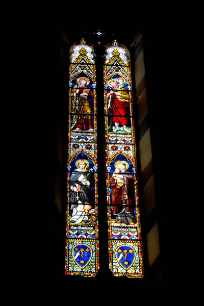 Vetrata All Interno Della Cattedrale Santa Maria Assunta Siena — Foto Stock