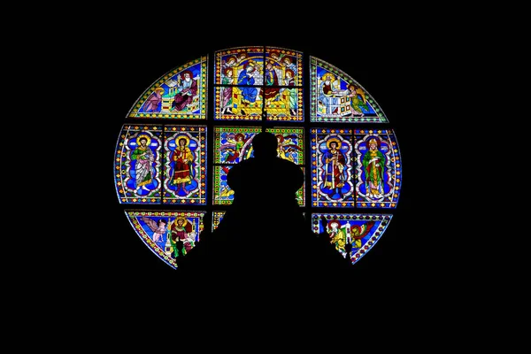 Jendela Kaca Patri Dalam Katedral Santa Maria Assunta Siena Italia — Stok Foto