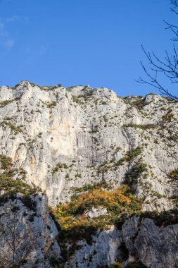 Doğal rezerv Furlo Gorge: Marche, İtalya