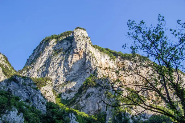 Naturreservat Der Furlo Schlucht Den Marken Italien — Stockfoto