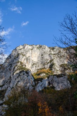 Doğal rezerv Furlo Gorge: Marche, İtalya