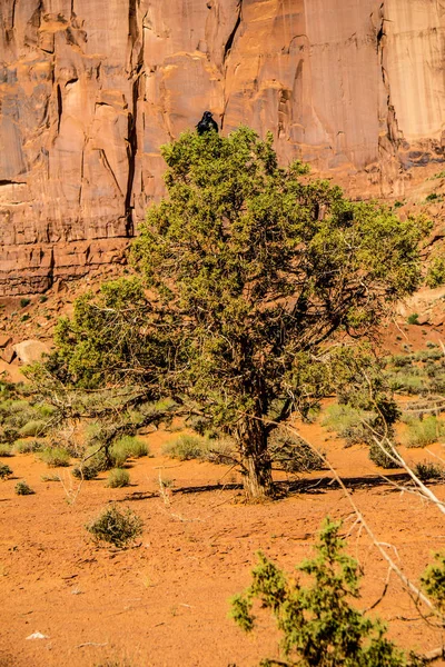 Monument Valley Arizona Utah — Fotografia de Stock