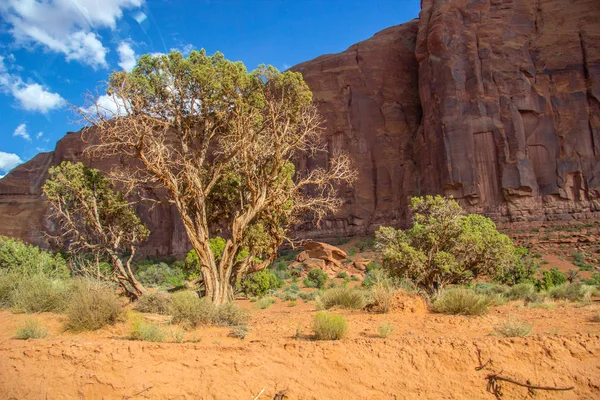 Monument Valley Arizona Utah — Photo