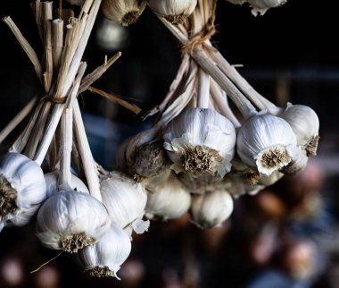 Sarımsak ampuller asılı Grup