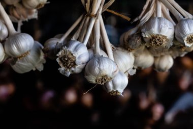 Sarımsak ampuller asılı Grup