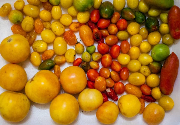 Delicious Fresh Tomatoes Tray — Stock Photo, Image