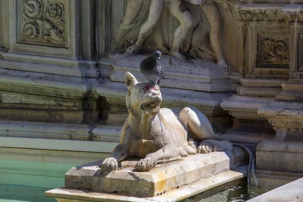 Fuente Gaia Siena Toscana Italia — Foto de Stock