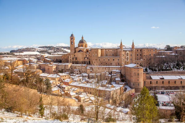 Urbino Marche İtalya Şehri