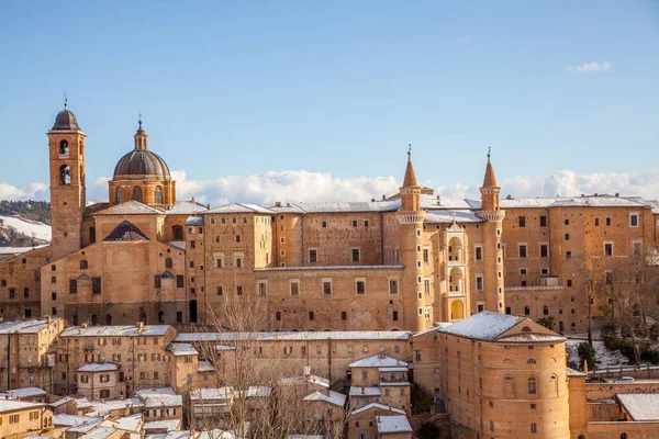 Urbino Marche İtalya Şehri