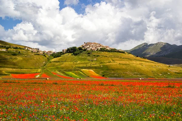 Castelluccio Norcia Italie — Photo