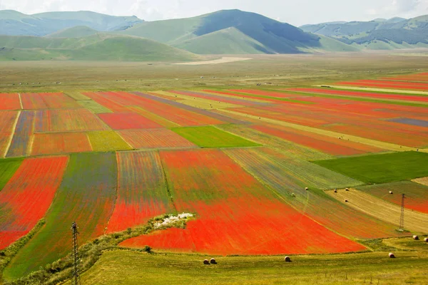 Castelluccio Norcia Italia —  Fotos de Stock