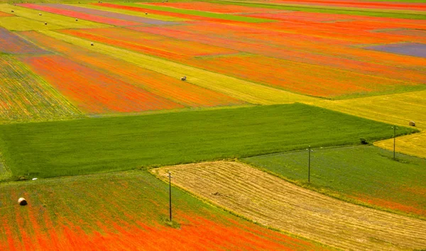 Castelluccio Norcia意大利 — 图库照片