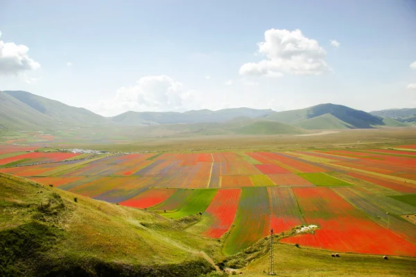 Castelluccio Norcia Italien — Stockfoto