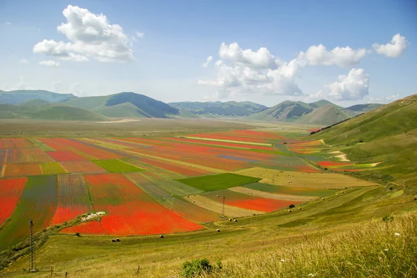 Castelluccio Norcia Italien — Stockfoto