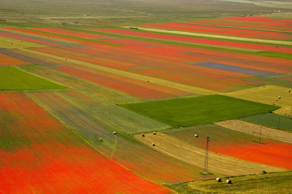 Castelluccio Norcia Itália — Fotografia de Stock