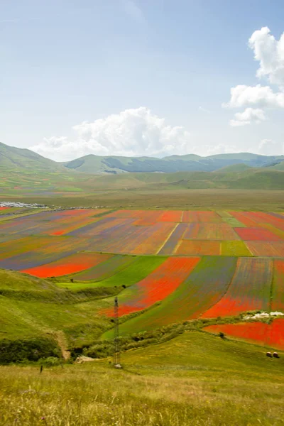 Färgpalett Castelluccio Norcia Italien — Stockfoto