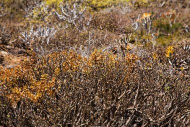 Lanzarote Cueva de los Verdes