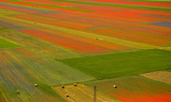 Castelluccio di Norcia Italy