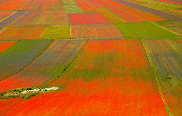 Castelluccio di Norcia Italy
