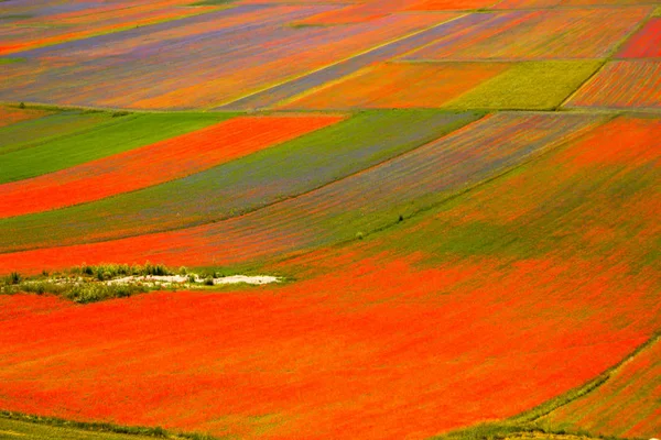 Castelluccio Norcia Italy — стокове фото