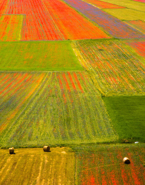 Castelluccio di Norcia Italy