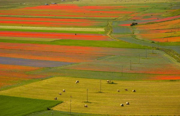 Castelluccio Norcia意大利 — 图库照片