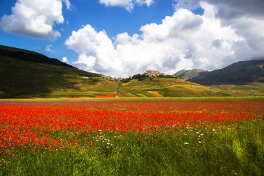 Castelluccio di Norcia İtalya
