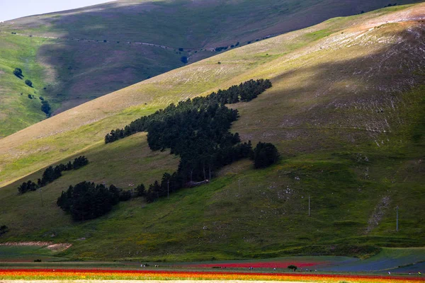 Castelluccio Norcia Italy — Stock Photo, Image