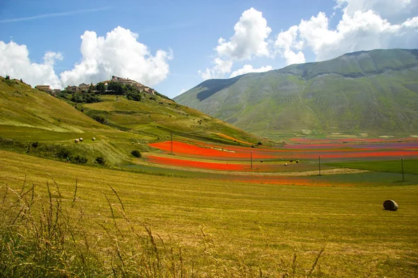 Castelluccio Norcia Italia — Fotografie, imagine de stoc