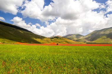 Castellucio di Norcia İtalya 