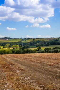  Kırsal alan Marche İtalya
