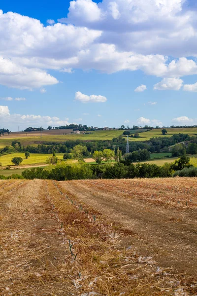 Landsbygdslandskap Marche Italien Stockbild