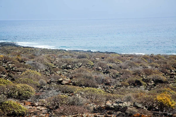 Lanzarote Cueva Los Verdes — Stock Photo, Image