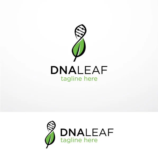 Dna Leaf Logo模板设计库向量 天然叶片Dna遗传标志设计模板 — 图库照片