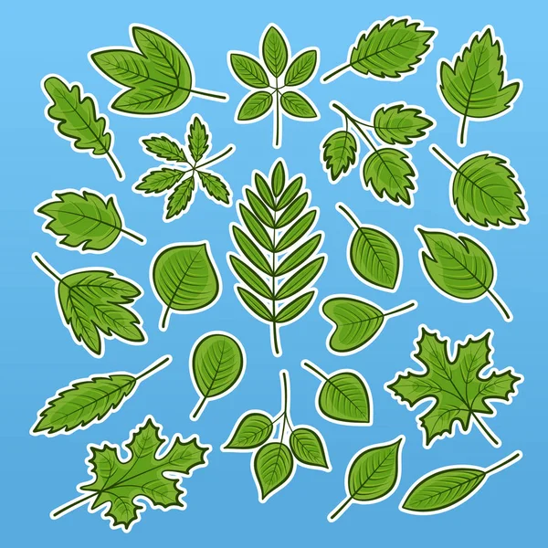 Serie di illustrazioni vettoriali di varie foglie verdi con un ictus. Icone foglia verde — Vettoriale Stock
