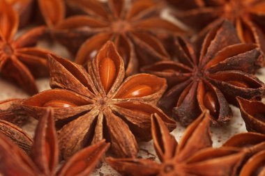 Anason Yıldızlı baharat closeup arka plan