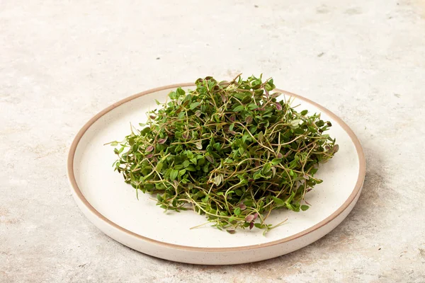 Brotes Jóvenes Tomillo Micro Verdes Sobre Fondo Blanco Concepto Alimentación —  Fotos de Stock