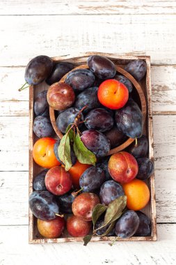 Ahşap arka planda renkli taze erikler. Üst görünüm