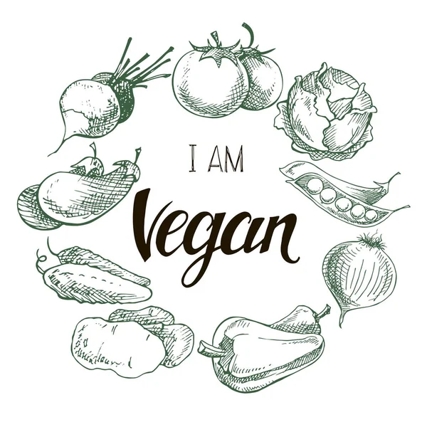 Vegan Food Concept Hand Getekend Vectorillustratie Ronde Cirkel Samenstelling Kan — Stockvector