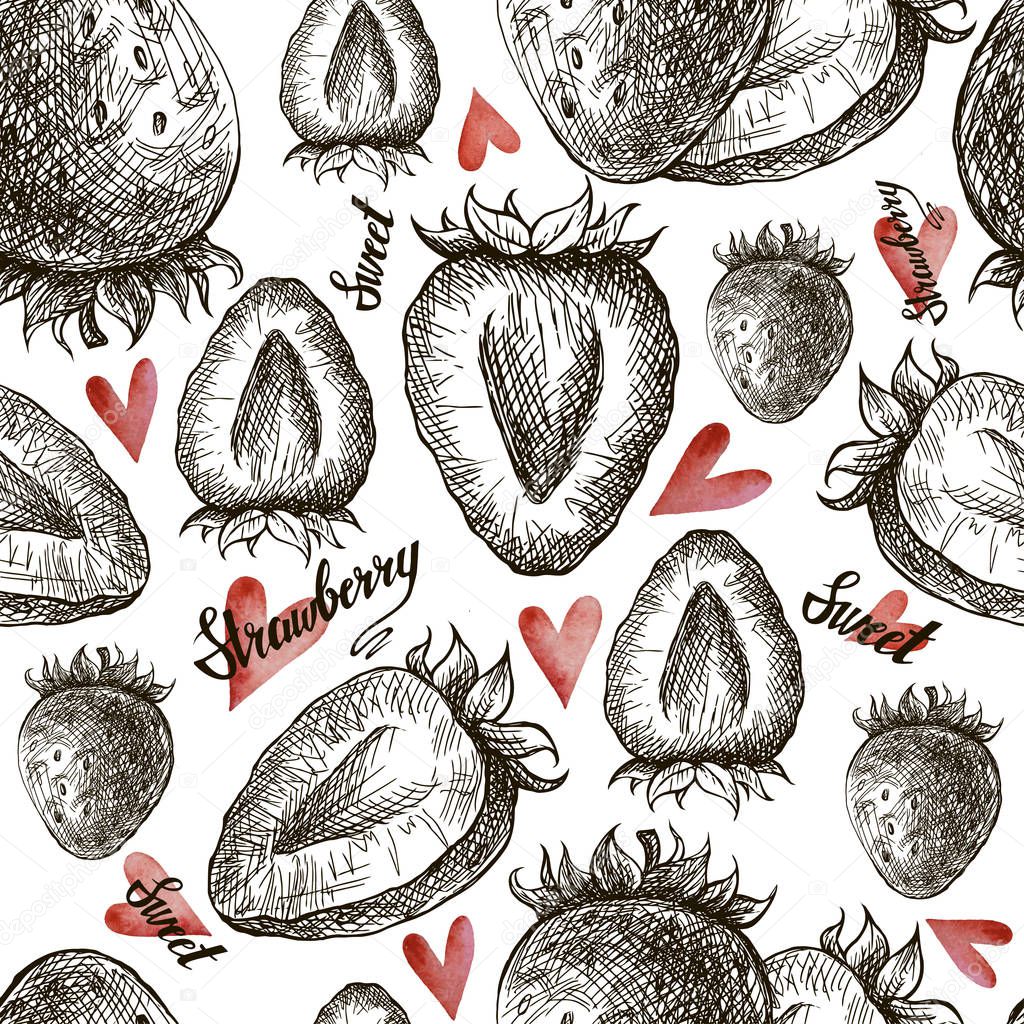 Strawberry vector seamless pattern drawing. Isolated hand drawn berry on white background.