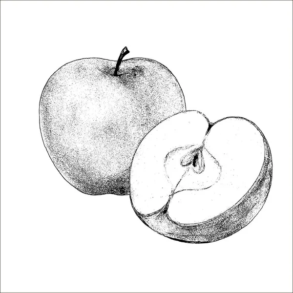 Fresh Apple Hand Drawn Sketch Style Eco Food Vector Illustration — Stock Vector