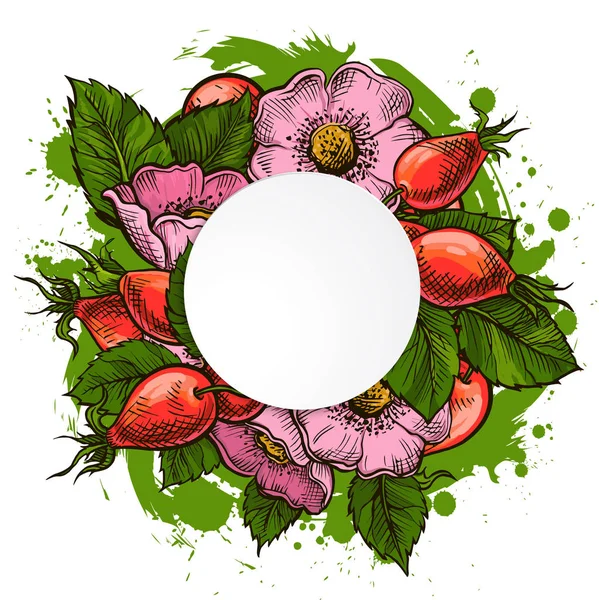 Векторный Набор Цветов Шиповника Ручная Иллюстрация Диких Роз Ягод Листьев — стоковый вектор