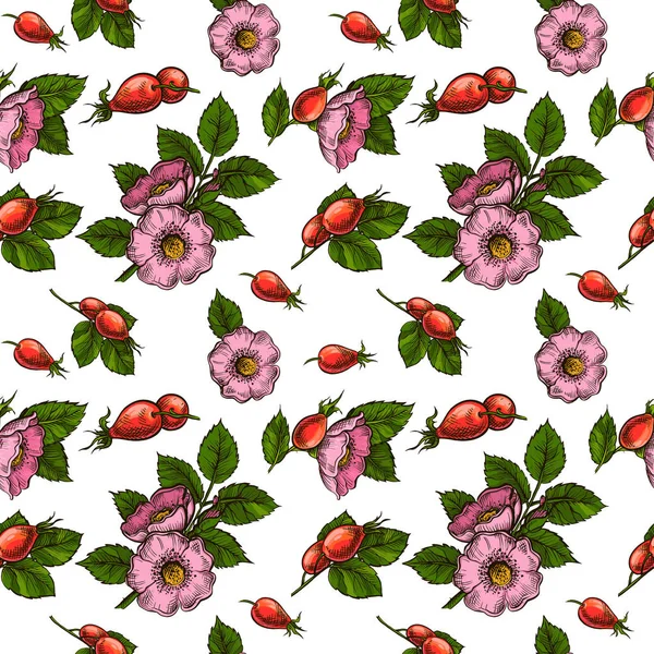 Motif Sans Couture Avec Rose Canine Branche Rose Marine Baies — Image vectorielle