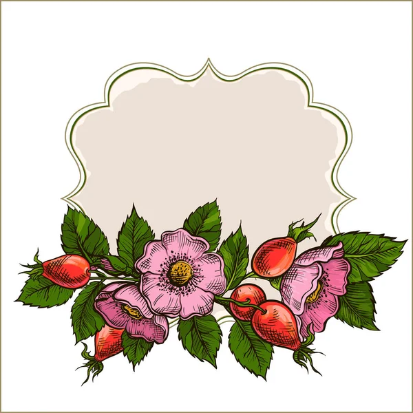 复古框架与草药茶成分 芙蓉和狗玫瑰 装饰向量背景与墨水手绘草本和香料着色的剪影 — 图库矢量图片
