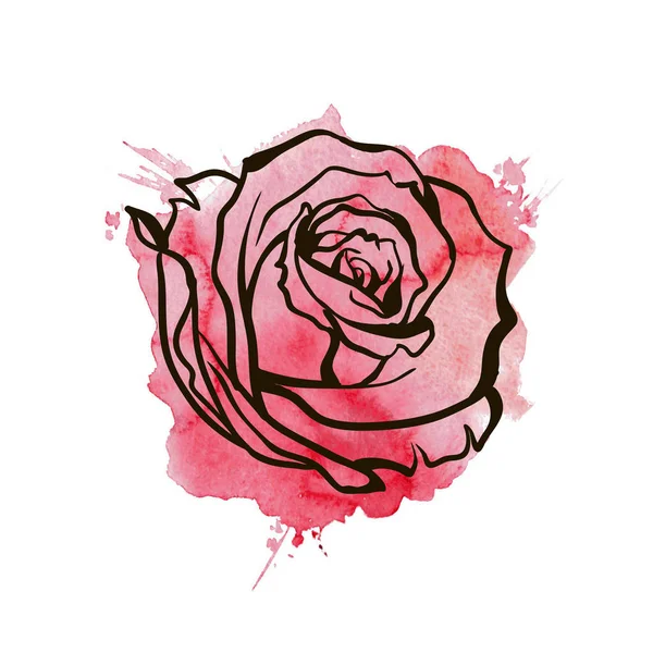 Aquarelle Dessinée Main Rose Rouge — Image vectorielle